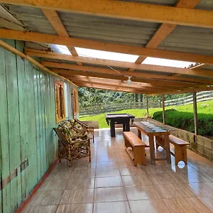 https://sitio-palheiro-borges.santa-catarina-brasil.com